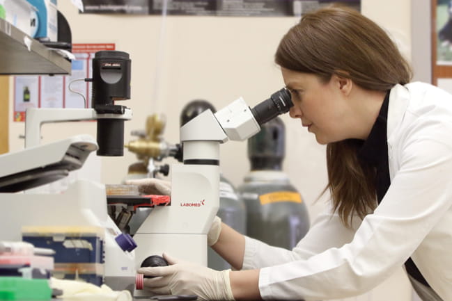 Dr. Chrystal Paulos looking into microscope