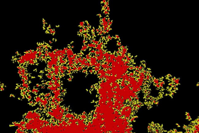 Star-shaped astrocyte cell shown up close in red, yellow and black.