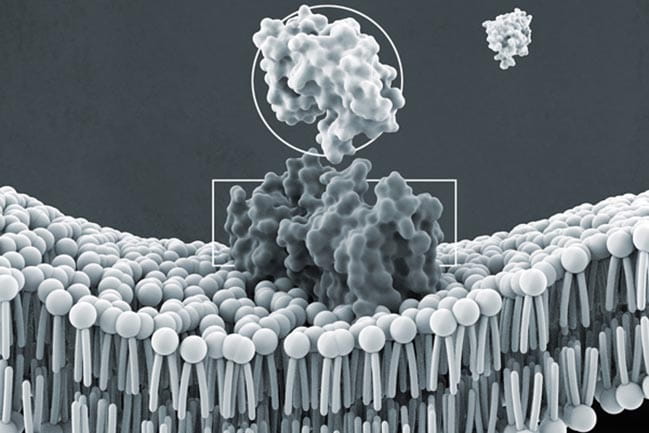 treatment for opioid use disorder illustration