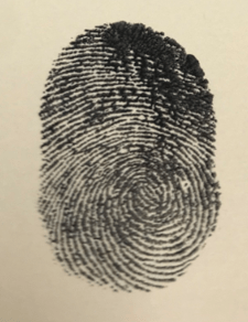 fingerprint on paper