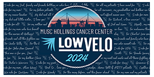 lowvelo logo