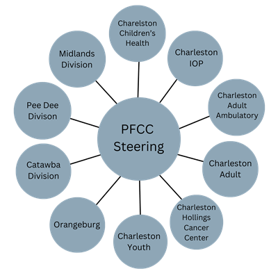 Circular graphic showing the 10 patient and family advisory councils.